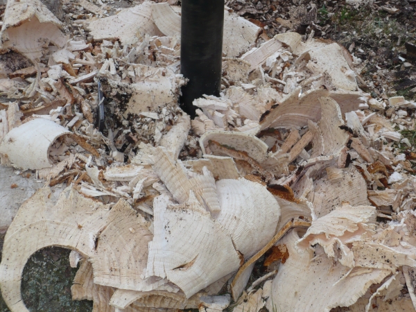 Koonstra, Stobbenboren: snel, veilig en zonder schade aan uw terrein Koonstra, Stobbenboren: snel, veilig en zonder schade aan uw terrein